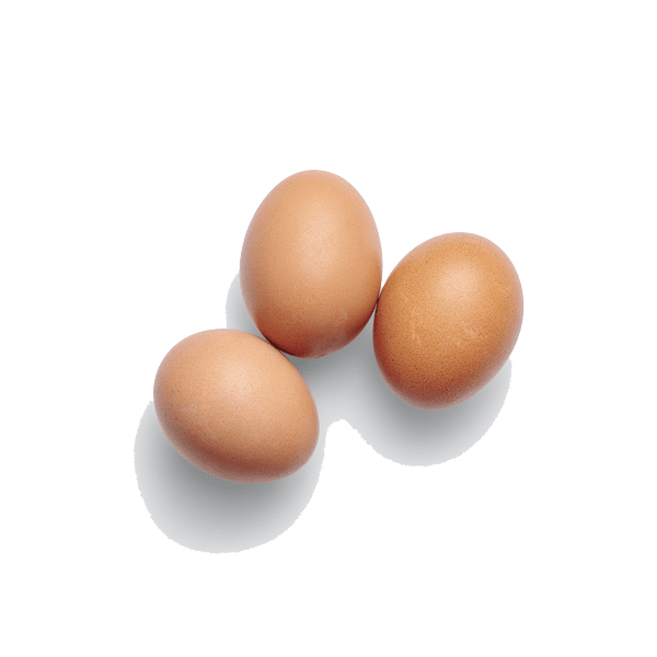Uova fresche